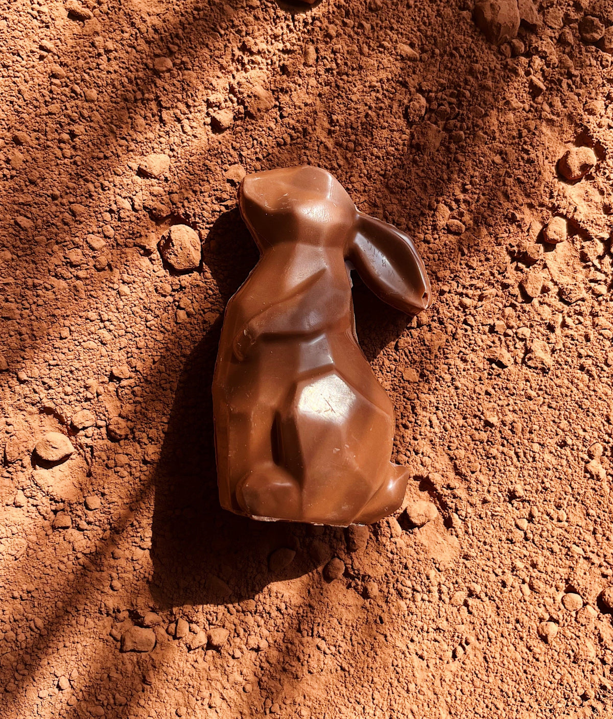 Lapin de Pâques Chocolat au lait