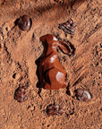 Lapin de Pâques Chocolat noir