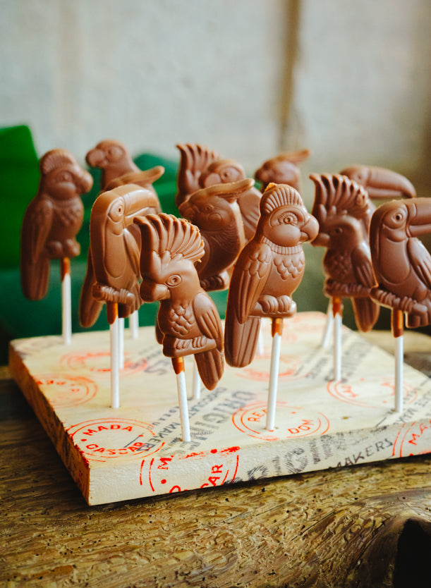 Sucettes en chocolat en forme de perroquets d'Origines Chocolate Makers, disposées sur un support en bois décoré, dans un cadre naturel et chaleureux.