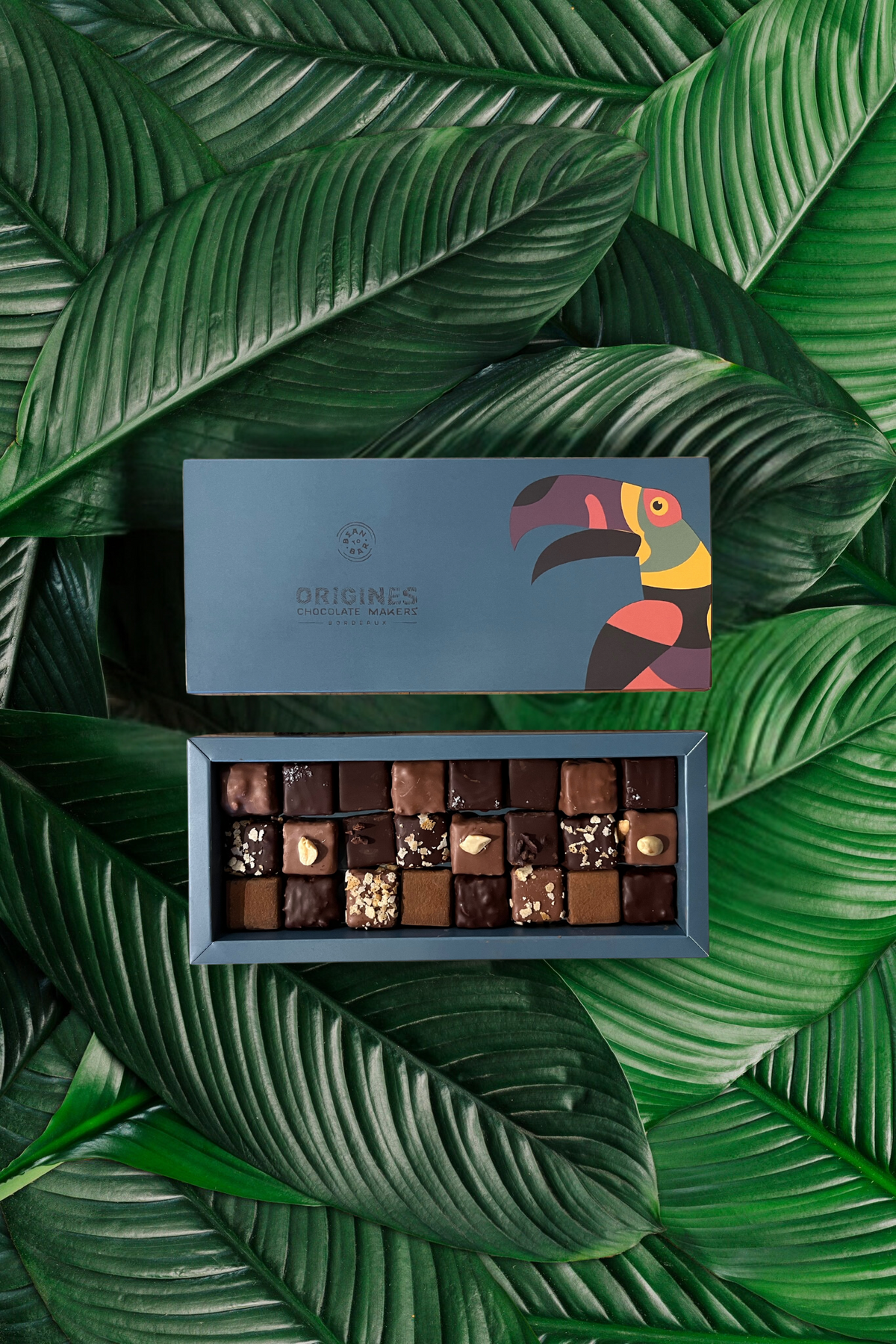 Une boîte de chocolats fins est posée sur de grandes feuilles vertes. Le couvercle de la boîte montre un toucan coloré, et à côté, la boîte ouverte révèle une grille de 24 chocolats variés.