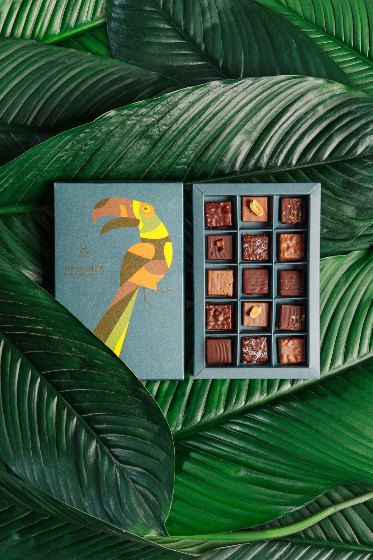 Une boîte de chocolats fins est posée sur de grandes feuilles vertes. Le couvercle de la boîte montre un toucan coloré, et à côté, la boîte ouverte révèle une grille de 12 chocolats variés.